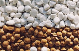 Marmor & Marille a Lasa in Val Venosta