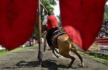 Cavalcata nella regione turistica dell'Alpe di Siusi