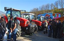 Vendita di macchine agricole al Mercato di Stegona a Brunico