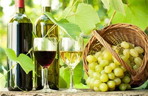 Vinosafari lungo la Strada del Vino