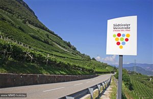 Strada del Vino dell'Alto Adige in Bassa Atesina