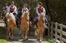 Reitergruppe auf Haflinger Pferden