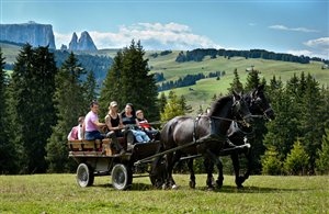Gite in carrozza sull'Alpe di Siusi