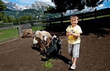 Minizoo nel Maneggio Monte Pana in Val Gardena