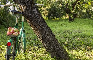 Trail delle mele sull'Altopiano delle mele in Valle Isarco