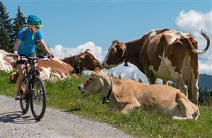Mountainbiketour auf die Rodenecker Alm