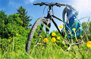 Gita ciclabile da Bolzano a Firmiano nella Bassa Atesina