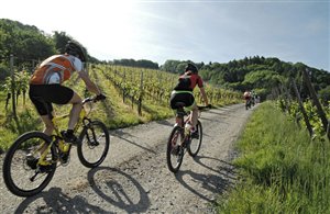 Etschtal Radweg in der Urlaubsregion Meraner Land