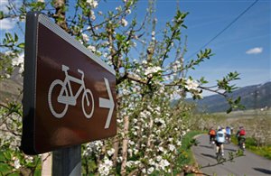 Blick auf den Vinschgau Radweg in Südtirol