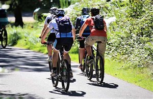 Tour MTB Lutago - Malga Gruber