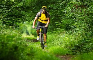 MTB-Tour von Sand in Taufers zur Gruberalm