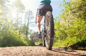 Radfahren & Mountainbiken in der Urlaubsregion Ultental - Deutschnonsberg