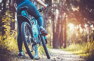 Tour in mountainbike alla Malga di Marzon