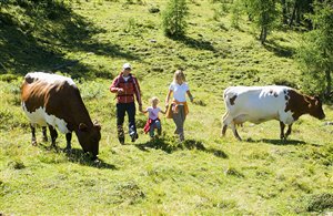 Begegnungen mit Weidetieren