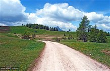 Almwiesen von Armentara