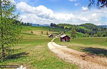 Wanderung zu den Armentara Wiesen