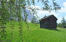 Prati Armentara in Alta Badia