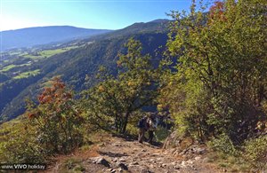 Sentiero del Castagno della Valle Isarco in Alto Adige