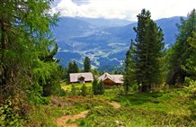 Alpe di Luson nell'area vacanze Gitschberg - Jochtal