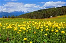 Vista sull'Alpe di Luson