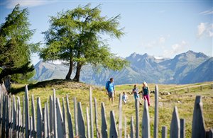 Wanderungen in der Urlaubsregion Gitschberg - Jochtal