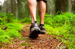 Wandern ins Altfasstal in der Ferienregion Gitschberg-Jochtal