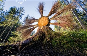 Sentiero LandArt a Falzes - Regione vacanza del Plan de Corones