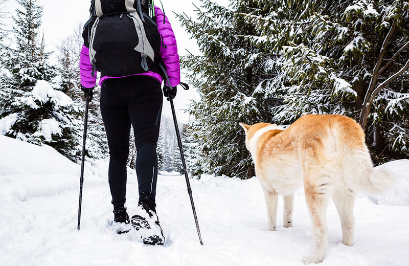 Die Taistner Vorderalm