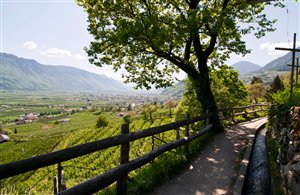 Vista dal sentiero della roggia di Marlengo sulla regione vacanze di Merano e dintorni