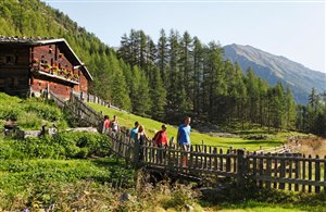 Wanderung zum Mastauner Pichl im Schnalstal