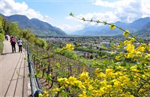 Promenade in Meran mit Blick über den Meraner Talkessel