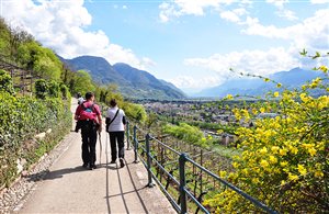 Tappeinerweg im Meranerland