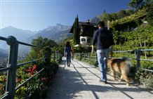 Gemütlicher Spazierweg im Meranerland