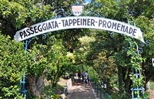 Tappeinerweg - Promenade