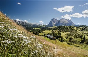 Percorso circolare intorno al Sassopiatto e al Sassolungo