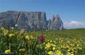Alta Via dello Sciliar
