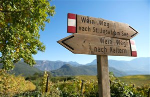 Wegweiser Kalterer Weinweg im Süden Südtirols