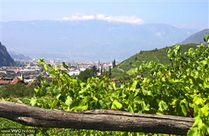 Vista sul capoluogo Bolzano