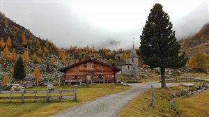 Gögealm im Tauferer Ahrntal
