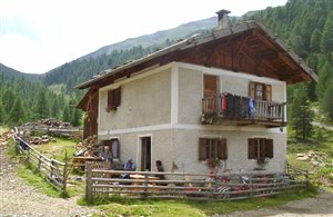 Wanderung zur Klapfbergalm in der Ferienregion Ultental - Deutschnonsberg