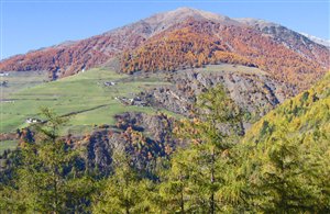 Blick auf den Marteller Sonnenberg im Vinschgau