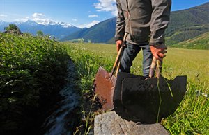 Wanderung am Plurwaalweg bei Taufers im Münstertal