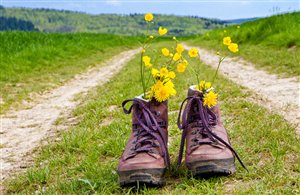 Escursione alla Malga Marzon presso Castelbello