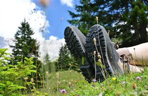Escursione al monte Seefeldspitz