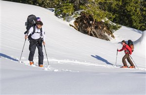 Skitour zur Cristalloscharte im Hochpustertal