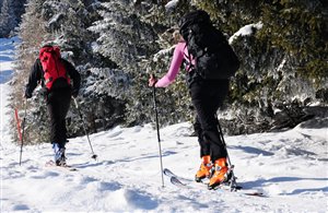 Skitour zum Zendleser Kofel