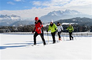 Almenwanderung Obereggen in Südtirol