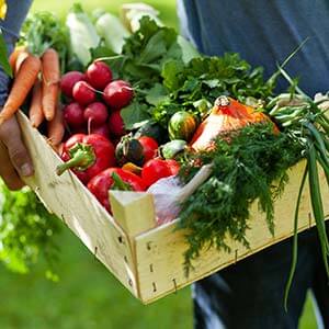 Gusto sostenibile, tradizione e innovazione