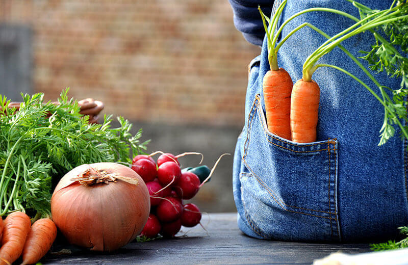 Biohotels in Südtirol