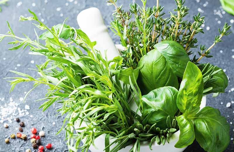 Gli hotel delle erbe